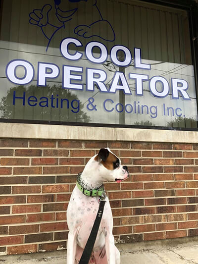 Dog in front of Cool Operator
