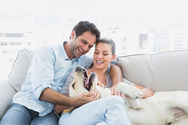 Couple on Couch with dog indoor air